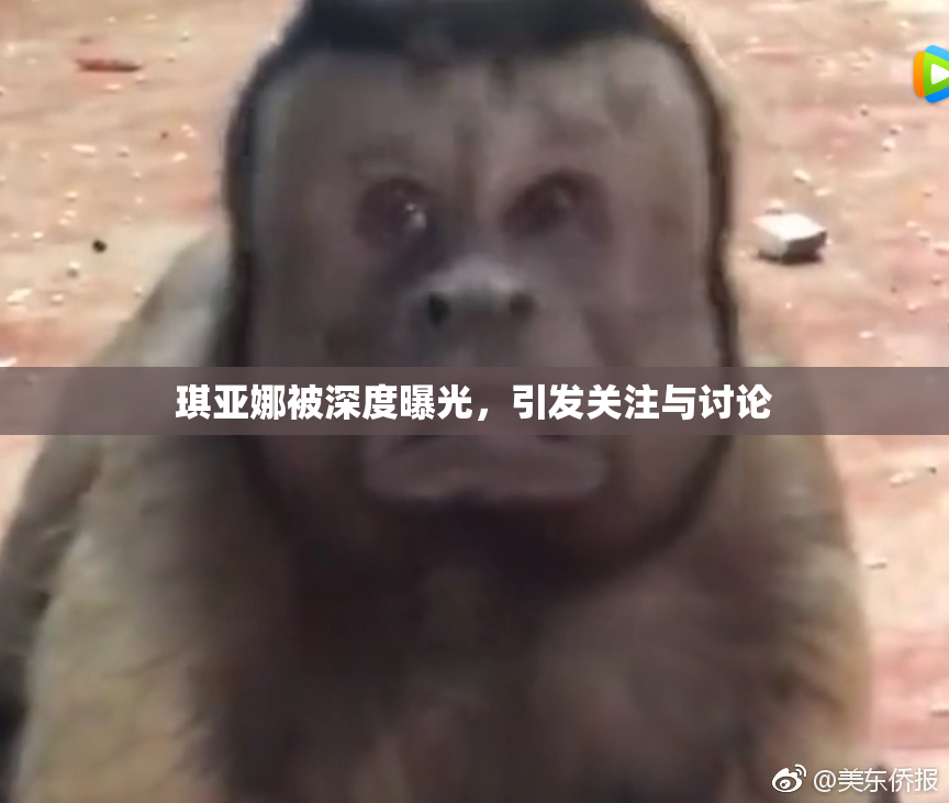 琪亚娜被深度曝光，引发关注与讨论