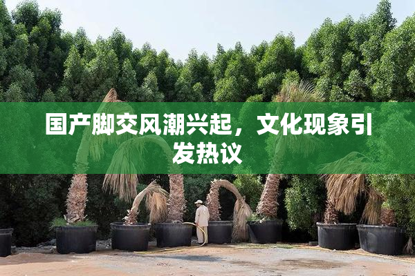 国产脚交风潮兴起，文化现象引发热议
