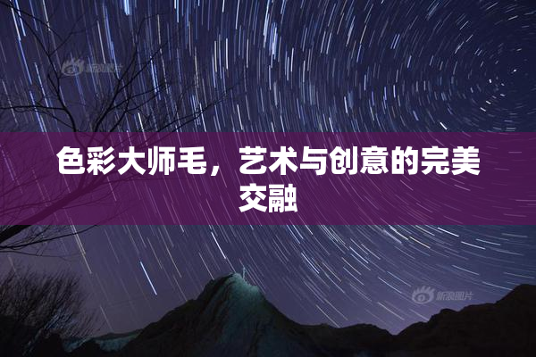 色彩大师毛，艺术与创意的完美交融