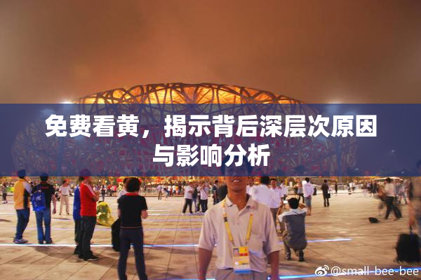 免费看黄，揭示背后深层次原因与影响分析