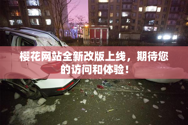 樱花网站全新改版上线，期待您的访问和体验！
