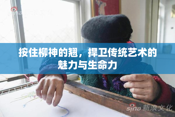 按住柳神的翘，捍卫传统艺术的魅力与生命力