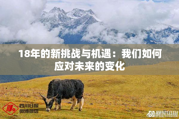 18年的新挑战与机遇：我们如何应对未来的变化