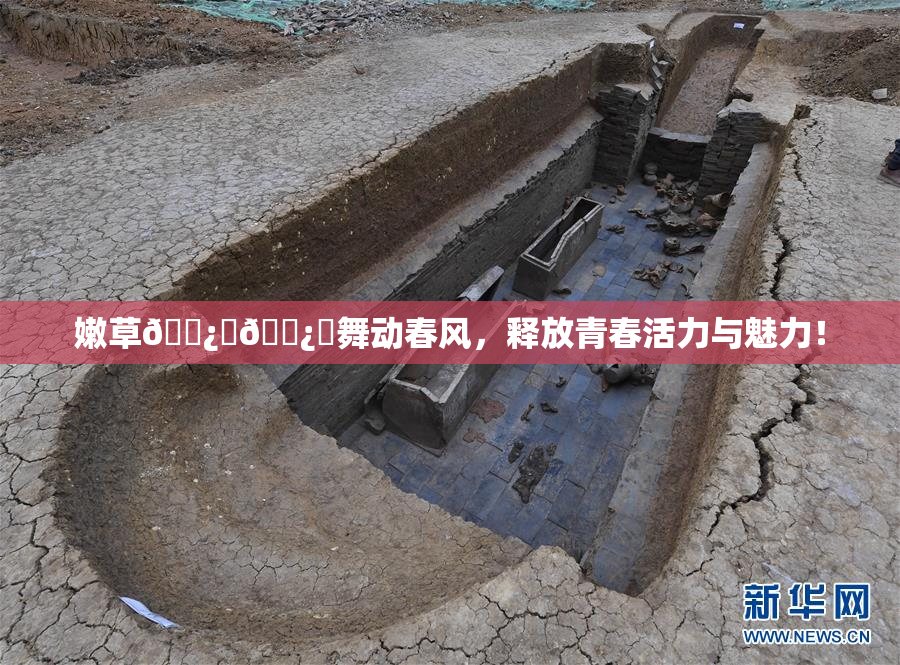 嫩草🌿‌🌿‌舞动春风，释放青春活力与魅力！