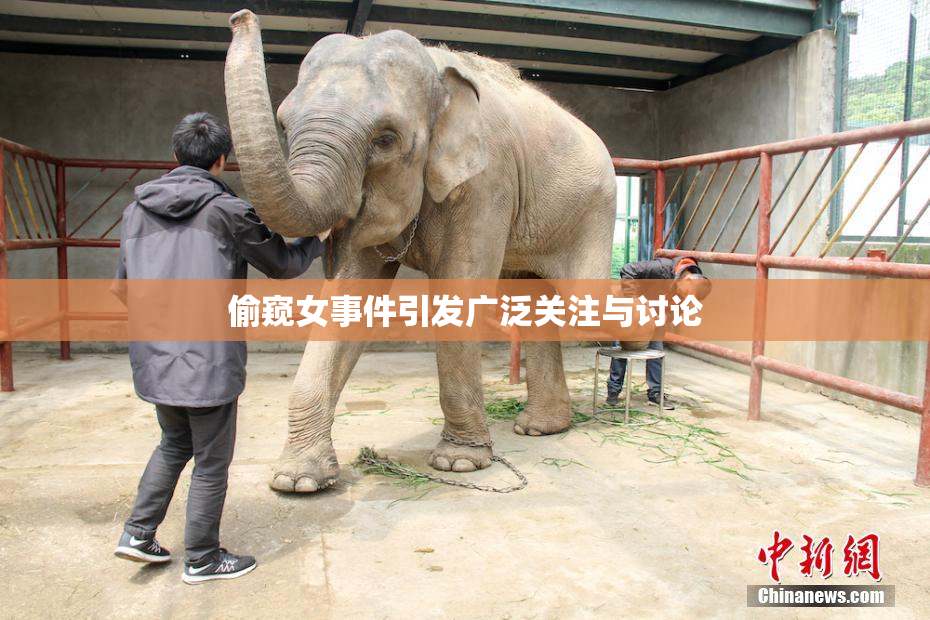 偷窥女事件引发广泛关注与讨论