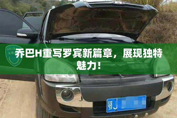 乔巴H重写罗宾新篇章，展现独特魅力！