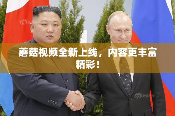 蘑菇视频全新上线，内容更丰富精彩！