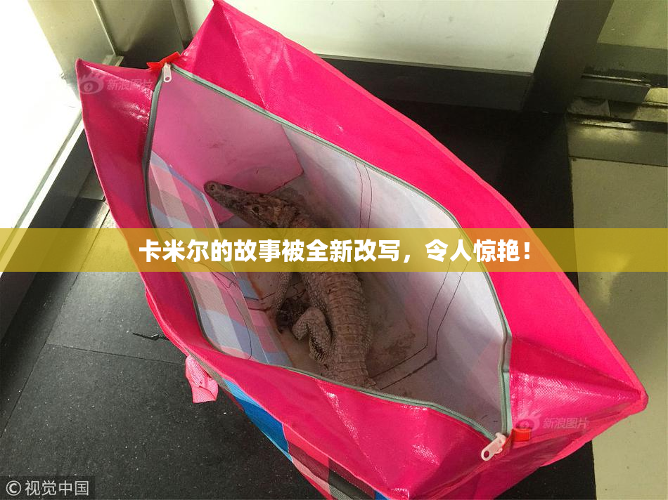 卡米尔的故事被全新改写，令人惊艳！