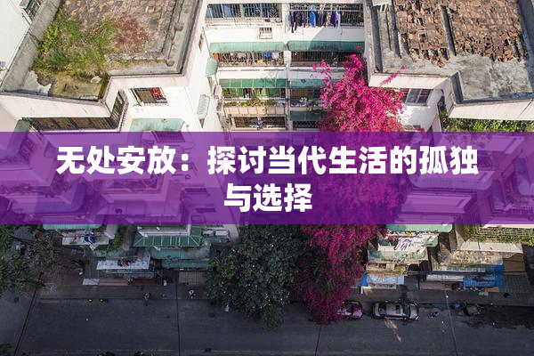 无处安放：探讨当代生活的孤独与选择