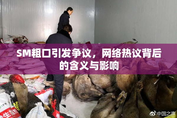 SM粗口引发争议，网络热议背后的含义与影响