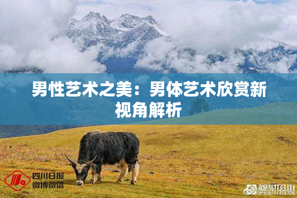 男性艺术之美：男体艺术欣赏新视角解析