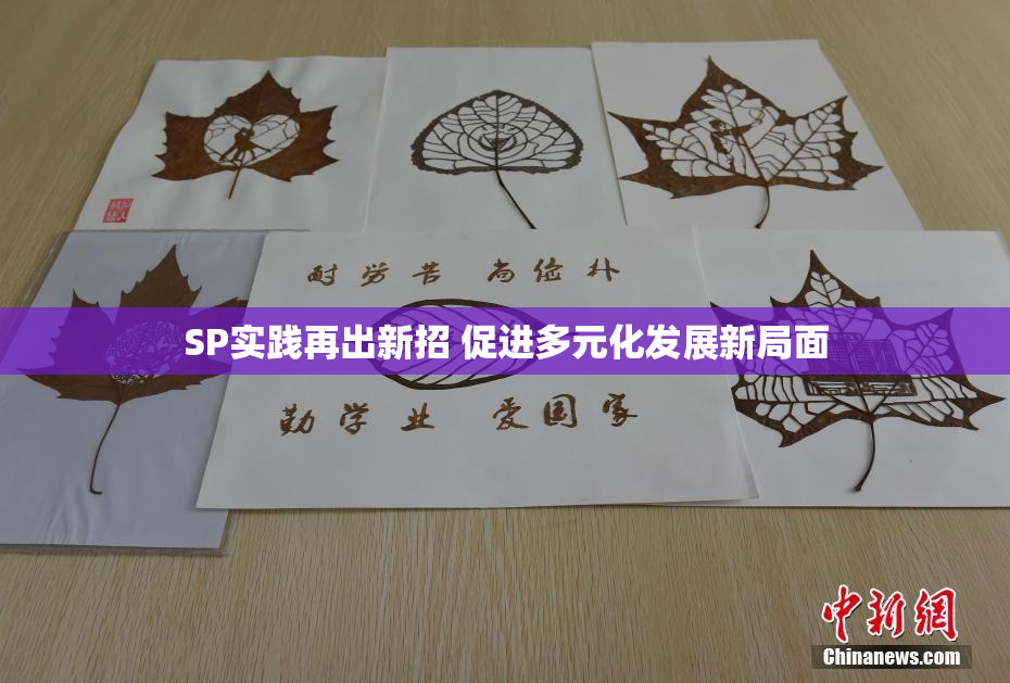 SP实践再出新招 促进多元化发展新局面