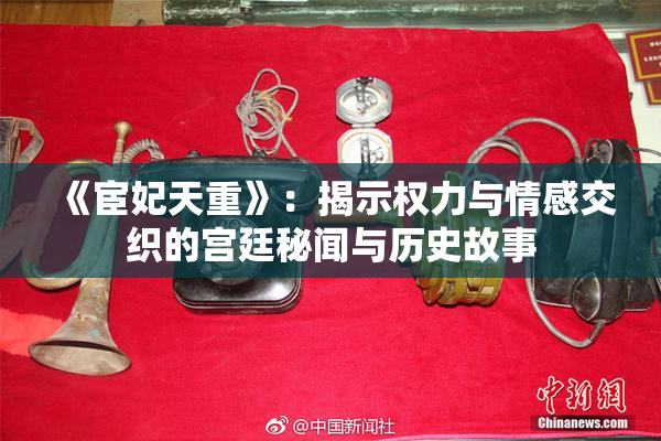 《宦妃天重》：揭示权力与情感交织的宫廷秘闻与历史故事
