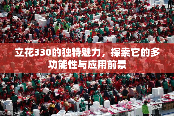 立花330的独特魅力，探索它的多功能性与应用前景