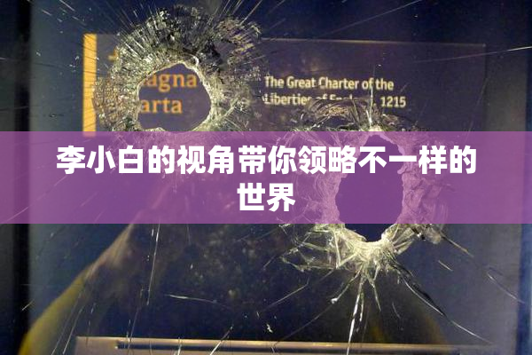 李小白的视角带你领略不一样的世界