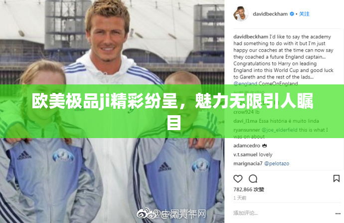 欧美极品ji精彩纷呈，魅力无限引人瞩目