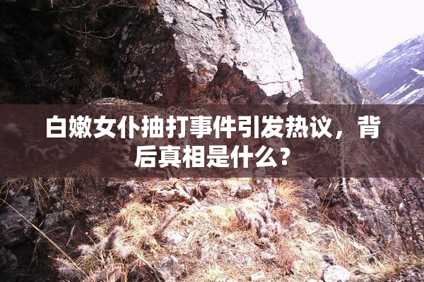 白嫩女仆抽打事件引发热议，背后真相是什么？