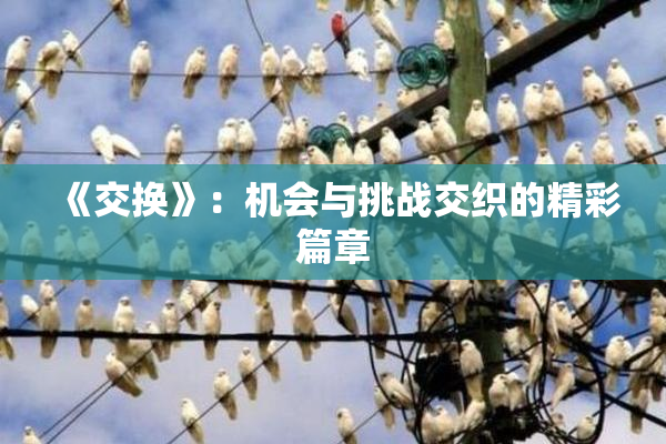 《交换》：机会与挑战交织的精彩篇章