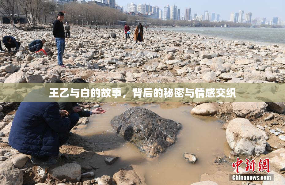 王乙与白的故事，背后的秘密与情感交织