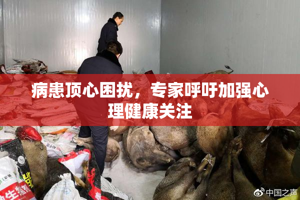病患顶心困扰，专家呼吁加强心理健康关注