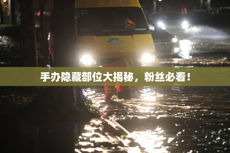 手办隐藏部位大揭秘，粉丝必看！
