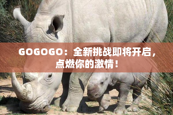 GOGOGO：全新挑战即将开启，点燃你的激情！