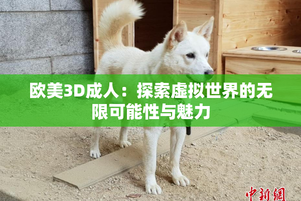 欧美3D成人：探索虚拟世界的无限可能性与魅力