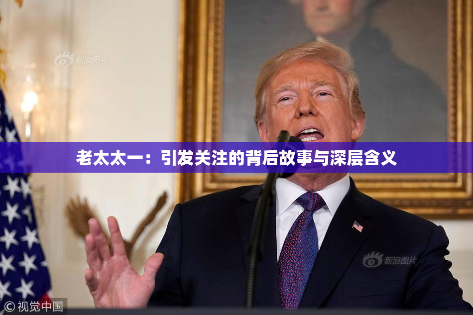 老太太一：引发关注的背后故事与深层含义