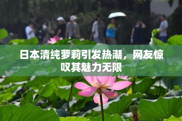 日本清纯萝莉引发热潮，网友惊叹其魅力无限