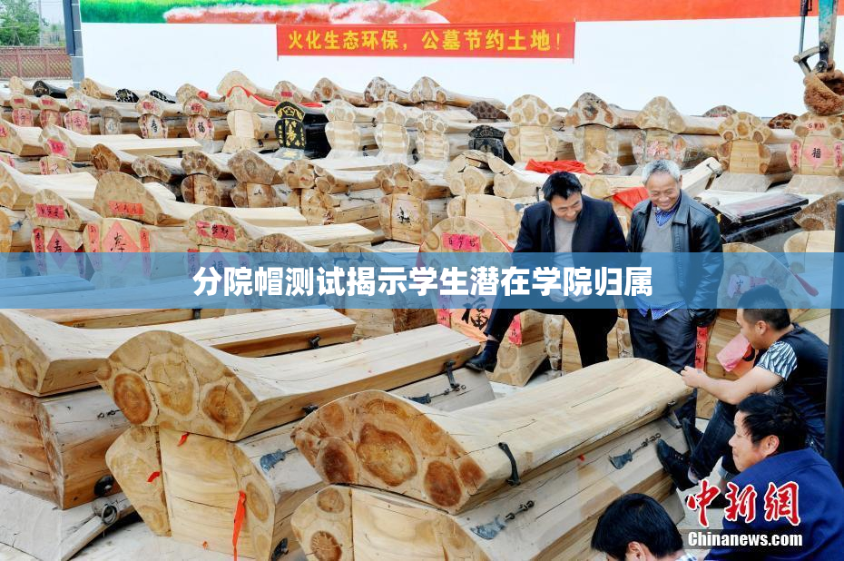 分院帽测试揭示学生潜在学院归属