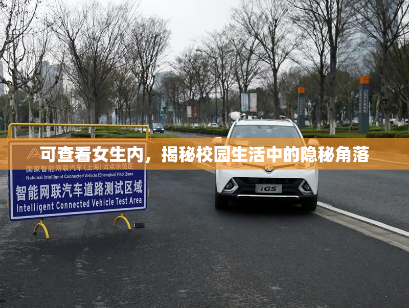 可查看女生内，揭秘校园生活中的隐秘角落