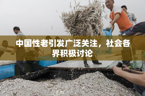 中国性老引发广泛关注，社会各界积极讨论