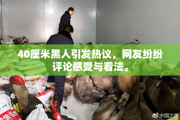 40厘米黑人引发热议，网友纷纷评论感受与看法。