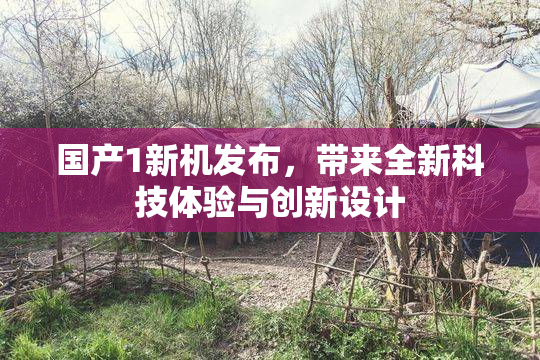 国产1新机发布，带来全新科技体验与创新设计