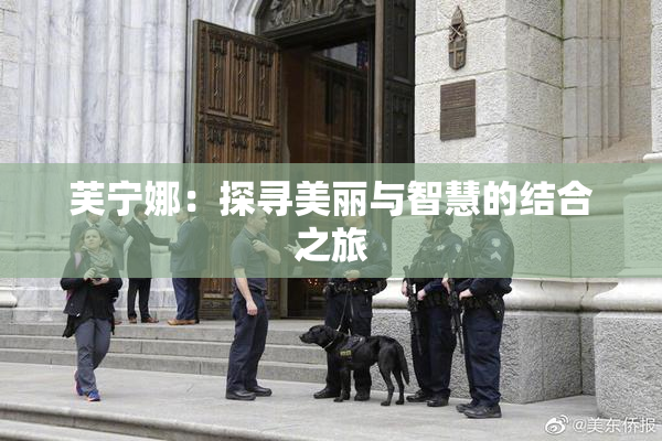 芙宁娜：探寻美丽与智慧的结合之旅