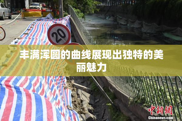 丰满浑圆的曲线展现出独特的美丽魅力