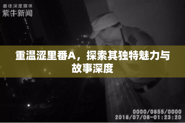重温涩里番A，探索其独特魅力与故事深度