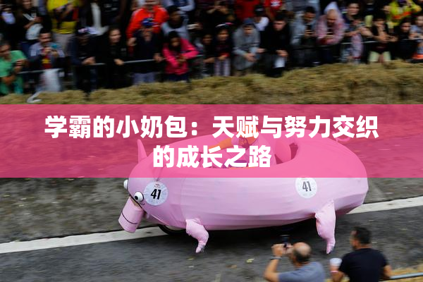 学霸的小奶包：天赋与努力交织的成长之路