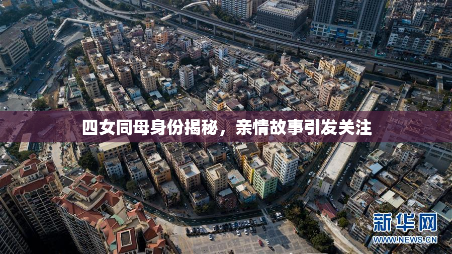 四女同母身份揭秘，亲情故事引发关注