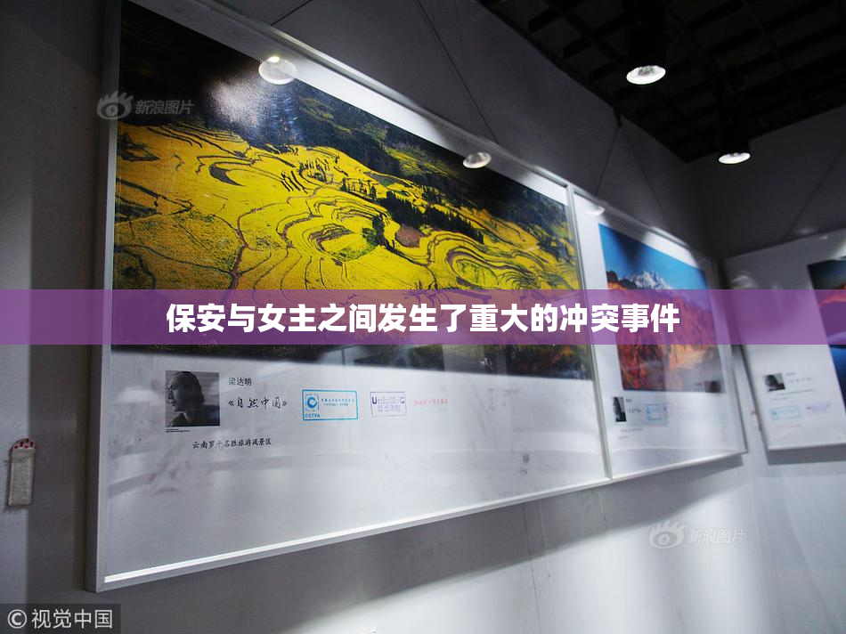 保安与女主之间发生了重大的冲突事件