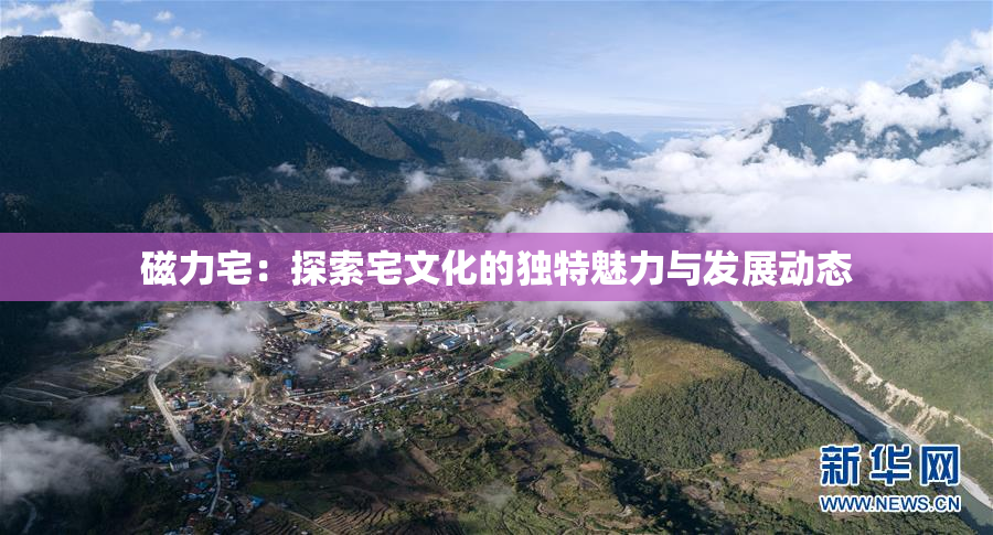 磁力宅：探索宅文化的独特魅力与发展动态