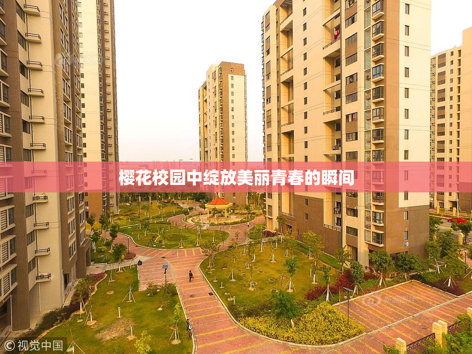 樱花校园中绽放美丽青春的瞬间