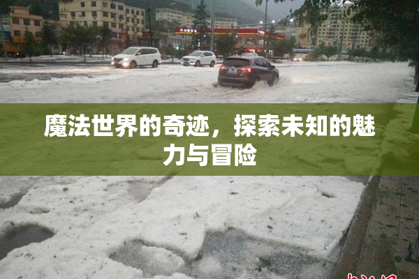 魔法世界的奇迹，探索未知的魅力与冒险