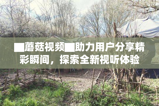 ▇蘑菇视频▇助力用户分享精彩瞬间，探索全新视听体验