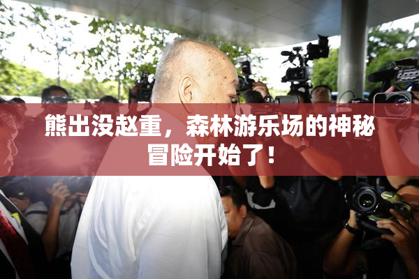 熊出没赵重，森林游乐场的神秘冒险开始了！