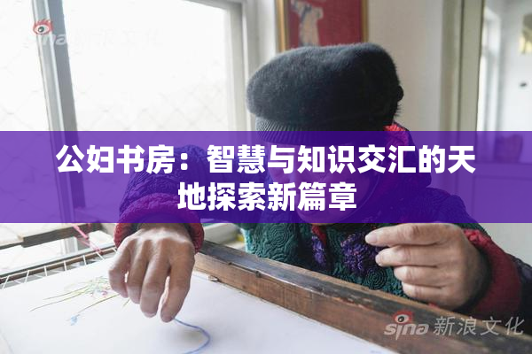 公妇书房：智慧与知识交汇的天地探索新篇章