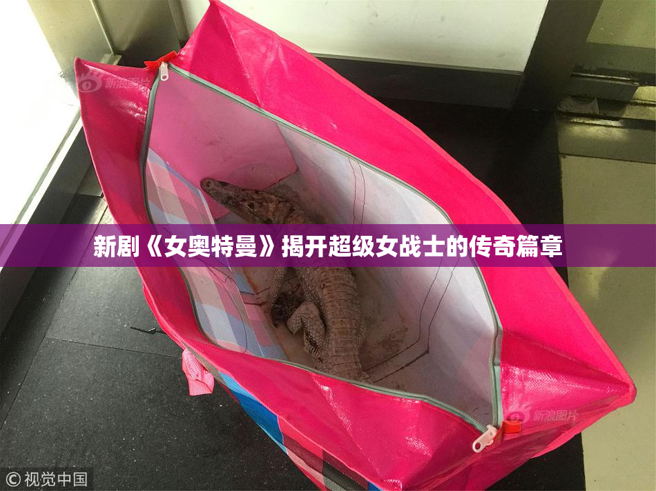 新剧《女奥特曼》揭开超级女战士的传奇篇章