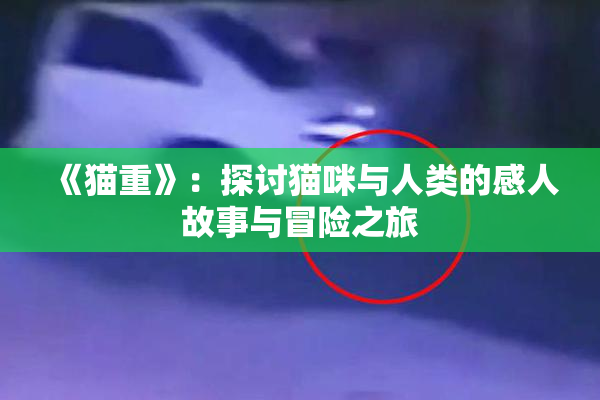 《猫重》：探讨猫咪与人类的感人故事与冒险之旅