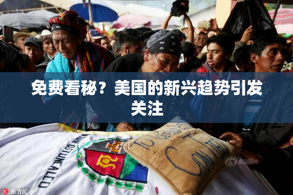 免费看秘？美国的新兴趋势引发关注