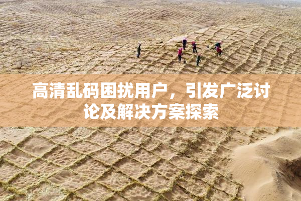 高清乱码困扰用户，引发广泛讨论及解决方案探索